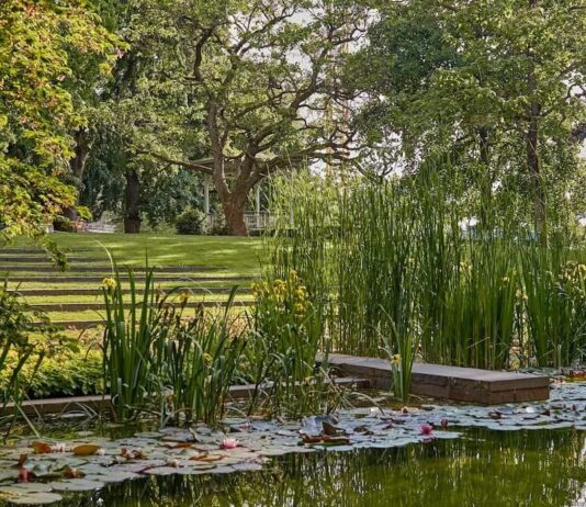 Arte y naturaleza en la Fondation Beyeler: nombrada la primera curadora botánica