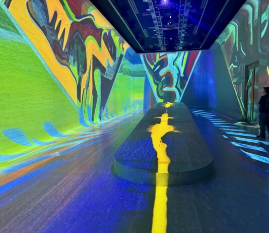 La Pampa Cósmica de Pérez Celis: una travesía digital hacia el universo pampeano