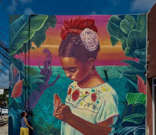 Escrituras en el muro: el grafiti latinoamericano entre la calle y el sistema del arte