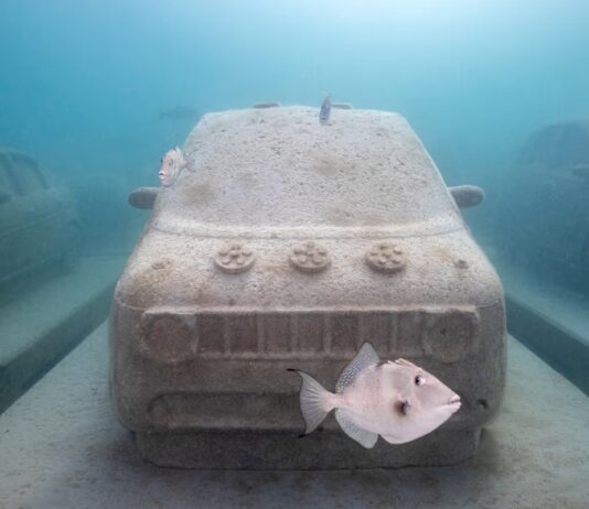 Leandro Erlich vuelve a Miami Beach: el tráfico del futuro ya está sumergido