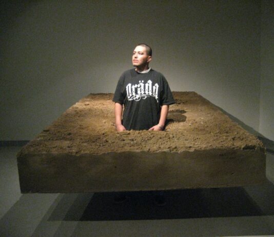 ¿Por qué muchas de las preguntas centrales del arte contemporáneo se están formulando hoy desde América Latina?