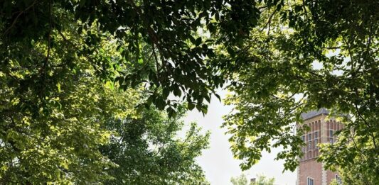 El Rijksmuseum de Ámsterdam tendrá un nuevo parque para la escultura contemporánea