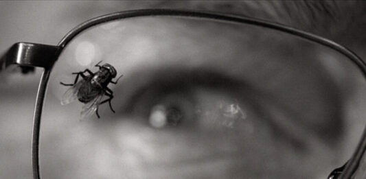 El caso argentino: escritoras, literatura y el salto al imaginario serial