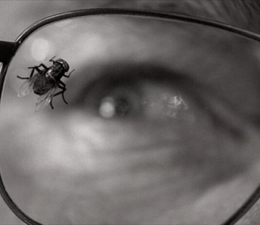 El caso argentino: escritoras, literatura y el salto al imaginario serial