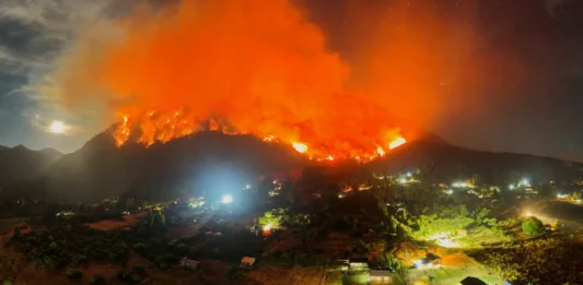 Poéticas de la resistencia: El arte colectivo frente a la herida ambiental en Argentina