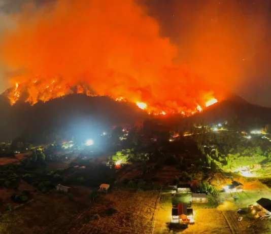 Poéticas de la resistencia: El arte colectivo frente a la herida ambiental en Argentina