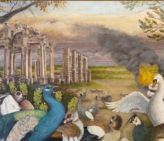 Bienal Arte 2026, Pakistán regresa a Venecia con un proyecto sobre el Punjab