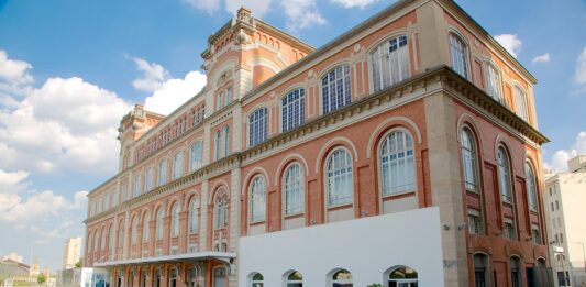 2026 en la Pinacoteca de São Paulo. Programación expandida, relatos en disputa y pedagogías del presente