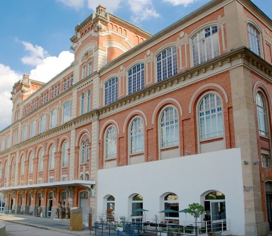 2026 en la Pinacoteca de São Paulo. Programación expandida, relatos en disputa y pedagogías del presente