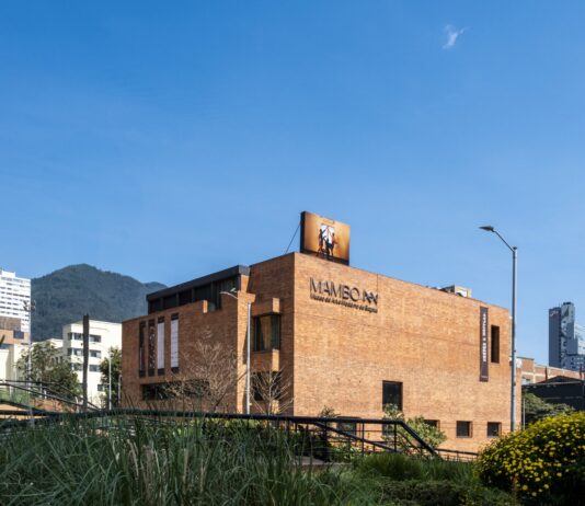 Eugenio Viola deja la dirección artística del MAMBO en medio de una crisis institucional