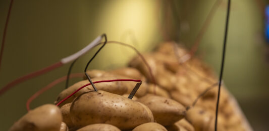 Un ladrillo que hace un castillo. “Políticas del sabor” en el CCR de Buenos Aires