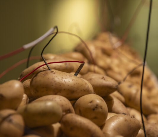 Un ladrillo que hace un castillo. “Políticas del sabor” en el CCR de Buenos Aires