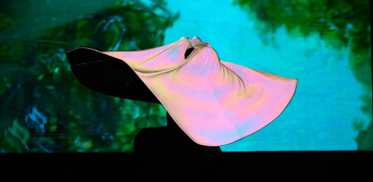 Pinta Panamá Art Week 2026: entre la agenda y la construcción de una escena