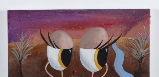 Fernanda Laguna en el Malba (Buenos Aires): un imán afectivo entre lo íntimo y lo colectivo