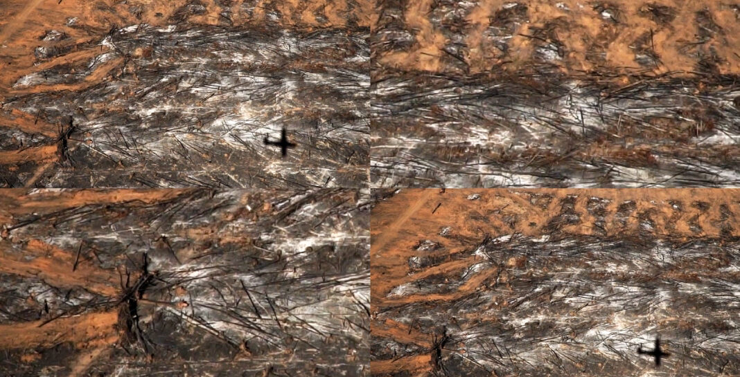 PLANTILLA-ENTRADAS-WEB-04