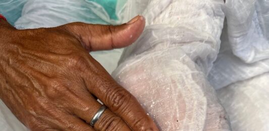 Cinco artistas para contar la India en la Bienal: entrevista al curador Amin Jaffer