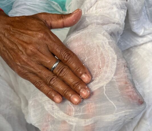 Cinco artistas para contar la India en la Bienal: entrevista al curador Amin Jaffer