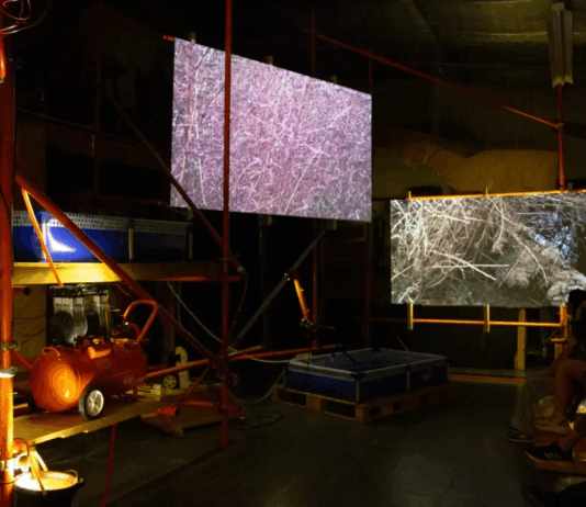 ‘Geonnitus’, concierto audiovisual sobre el fracking en el Centro de Experimentación del Teatro Colón, Buenos Aires