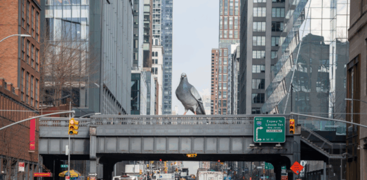 Iván Argote en el High Line de Nueva York: monumentalizar al “pigeon”