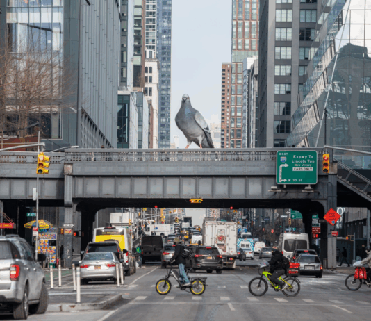 Iván Argote en el High Line de Nueva York: monumentalizar al “pigeon”