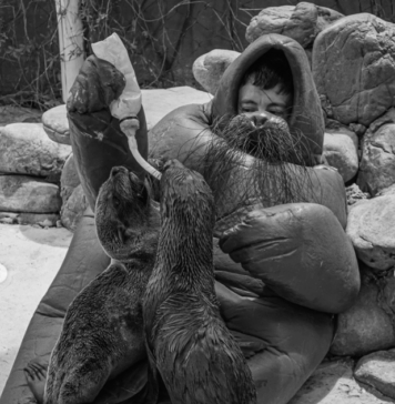 Conexión arteba 2026: pensar desde el territorio, imaginar con lo vivo