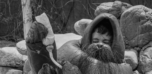 Conexión arteba 2026: pensar desde el territorio, imaginar con lo vivo