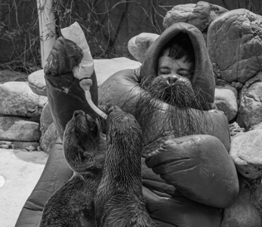 Conexión arteba 2026: pensar desde el territorio, imaginar con lo vivo