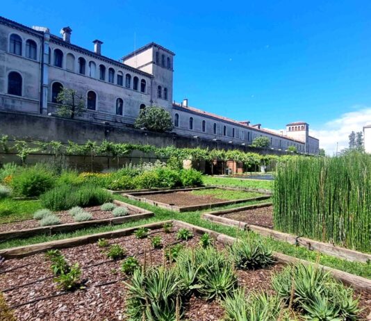 En la Bienal 2026 el Pabellón de la Santa Sede se convertirá en un jardín de sonido y espiritualidad