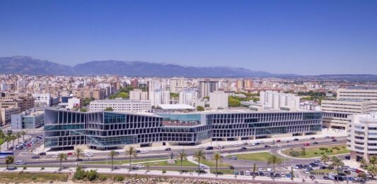 Art Cologne debuta en Palma, con una feria con vista al mar