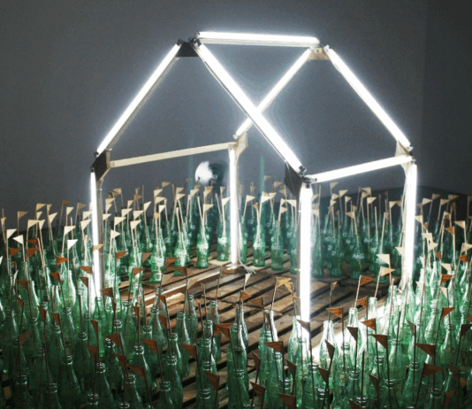 Fundación SOMA, Gabriel Rico y Guadalajara: estructuras en relación