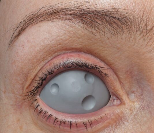 Ilusiones digitales para órganos artificiales: el universo perturbador de Valentin Gillet