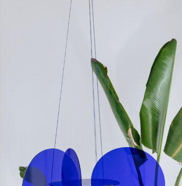 Pedro Torres presenta “das–vindas—i” en la Galeria Zielinsky (São Paulo)
