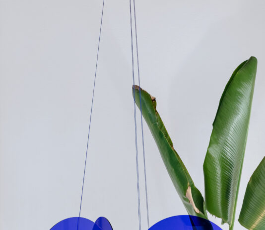 Pedro Torres presenta “das–vindas—i” en la Galeria Zielinsky (São Paulo)