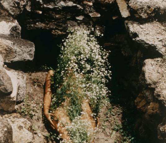 Ana Mendieta en Tate Modern: cuerpo, territorio y transformación