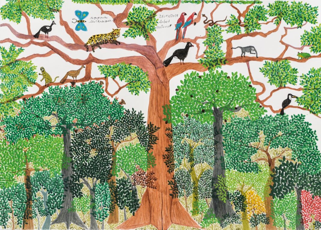 Pequeñas maneras de mirar un árbol