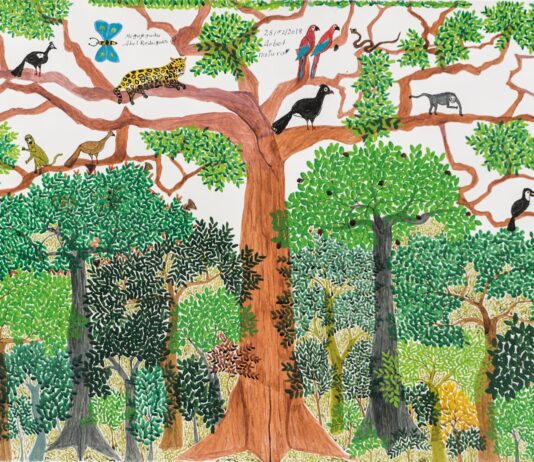 Pequeñas maneras de mirar un árbol
