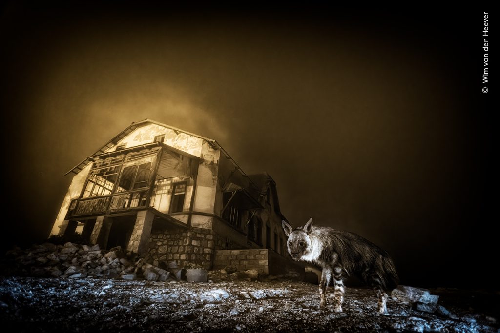 Wim-van-den-Heever-courtesy-Wildlife-Photographer-of-the-Year-1024x683