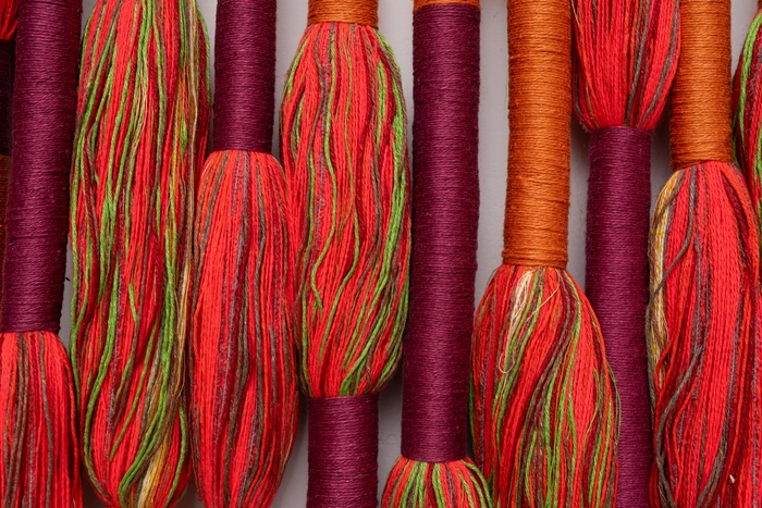 “Autobiography of a Thread”