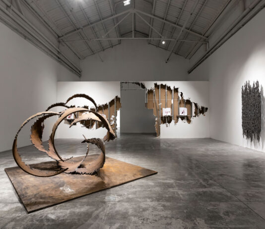 Luciana Lamothe en Barro Galería (Buenos Aires)