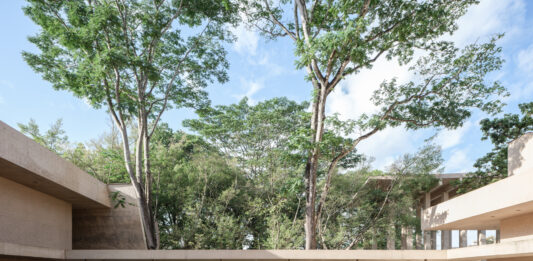 Dos nuevas arquitecturas redibujan China: inauguran el Museo de Historia Natural de Shenzhen y el Aranya Art Center