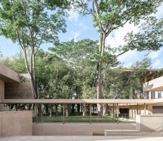 Dos nuevas arquitecturas redibujan China: inauguran el Museo de Historia Natural de Shenzhen y el Aranya Art Center