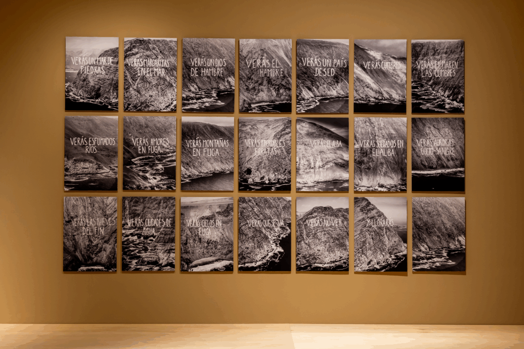 Naturaleza_arquitecta_Museo_Moderno_2560px