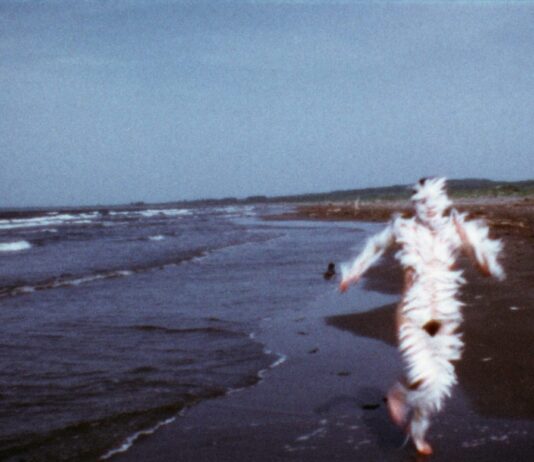 La Tate Modern celebra a Ana Mendieta: la gran retrospectiva cuenta la historia de una de las artistas más radicales del siglo XX