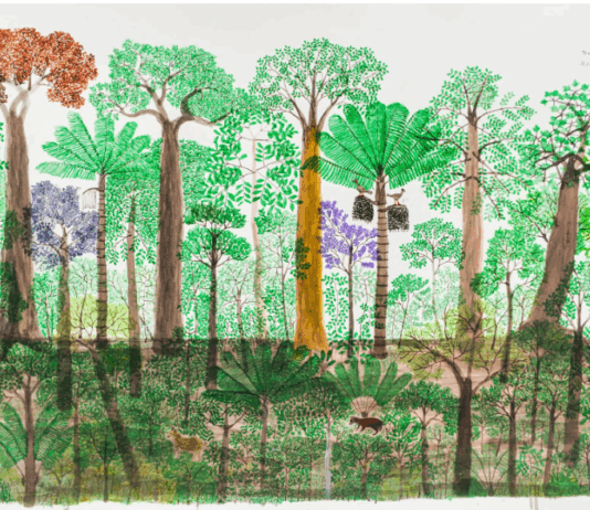 Abel Rodríguez / Mogaje Guihu: El árbol de la vida y la abundancia Abel Rodríguez / Mogaje Guihu: El árbol de la vida y la abundancia