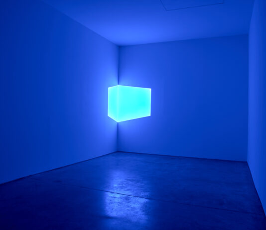 “Penumbra: Dia Art Foundation”