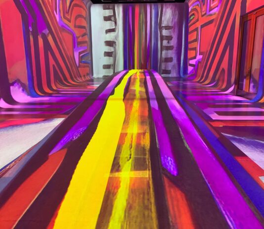 Experiencia «La Pampa Cósmica de Pérez Celis» Experiencia «La Pampa Cósmica de Pérez Celis»